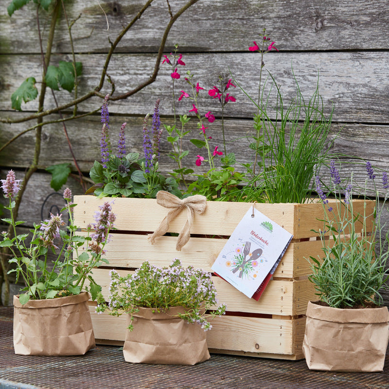"Blossom Kitchen" Herb Box - 6 edible flowering plants in a wooden box — Die Stadtgärtner
