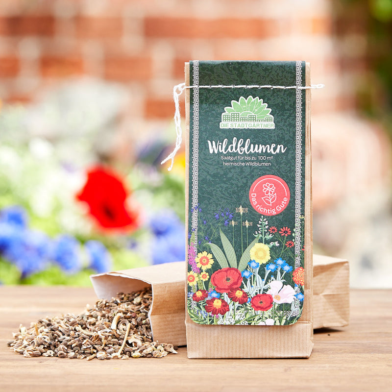 100 g Wildflower Seeds – over 25 varieties for 100 sqm — Die Stadtgärtner