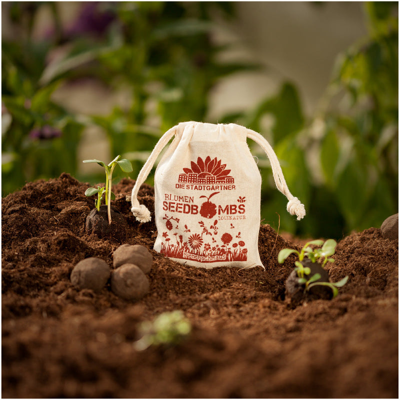 Bee Feast Seed Bombs – 38 Seed Varieties for Bees — Die Stadtgärtner