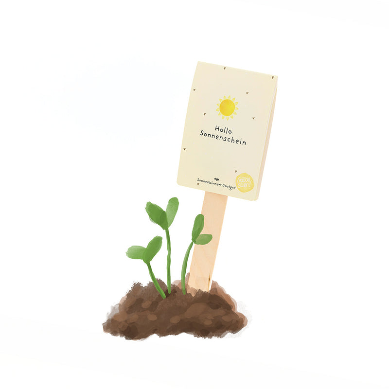 Hallo Sonnenschein - Saatgruß mit Sonnenblumen-Saatgut — Die Stadtgärtner