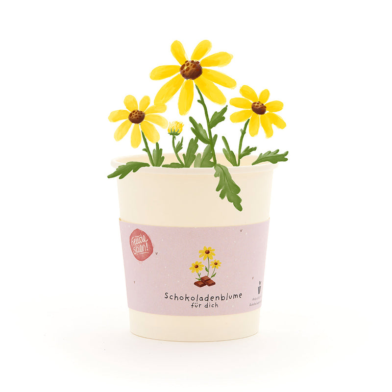 Schokoladenblume Becher – Anzuchtset mit Saatgut & Kokos-Quelltablette — Die Stadtgärtner