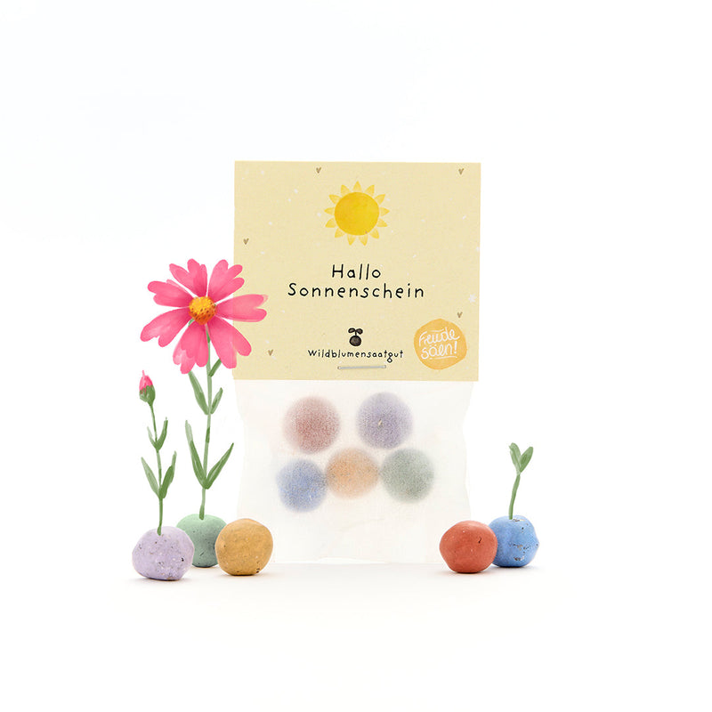 5 flower seed balls in a "Hello Sunshine" pouch - seed bombs for gifting — Die Stadtgärtner