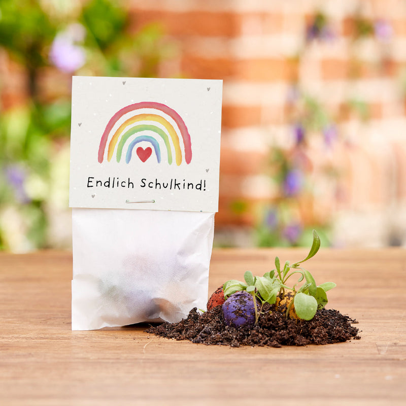 5 flower marbles in a bag for school enrollment "Finally a Schoolchild" — Die Stadtgärtner