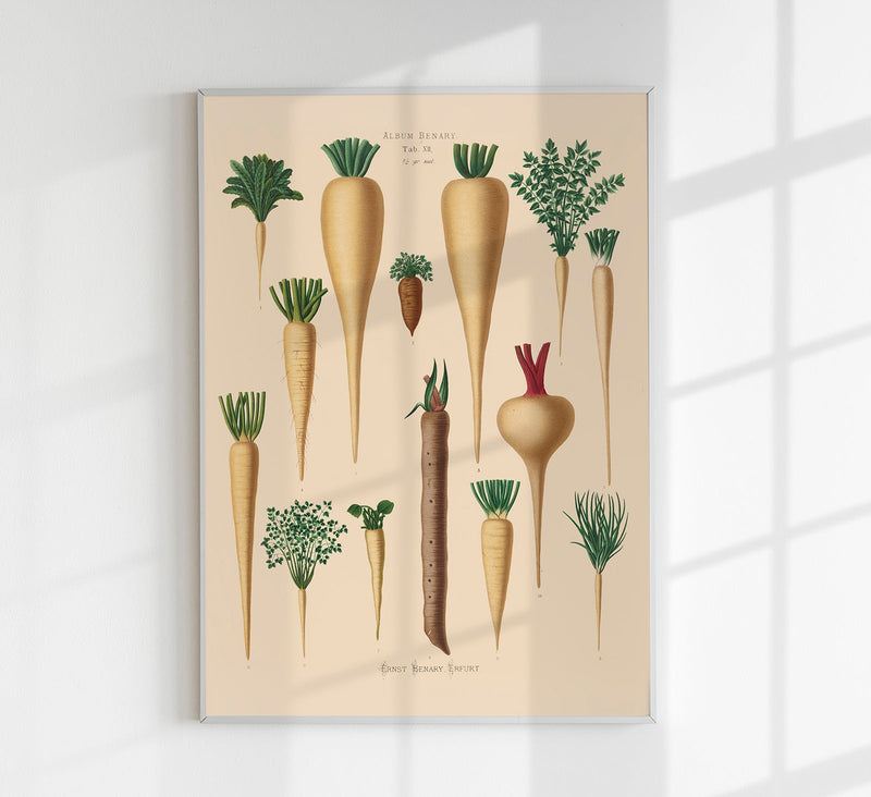 Culinary Roots Chart – Botanical Kitchen Roots Art Print | Fine Art Print — Patroa Studio