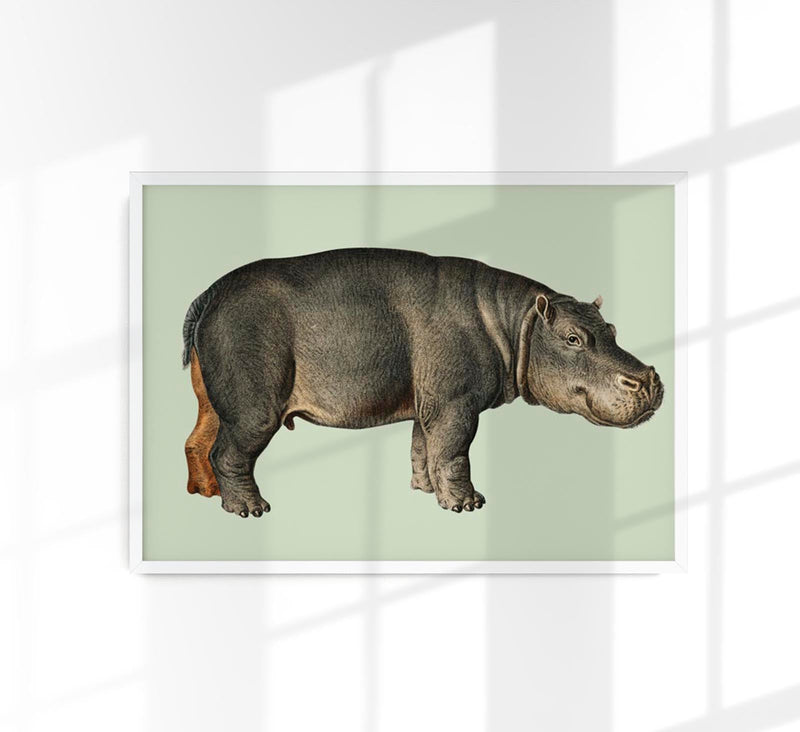 Hippopotamus Animal Illustration Poster – Handgedruckt Berlin — Patroa Studio