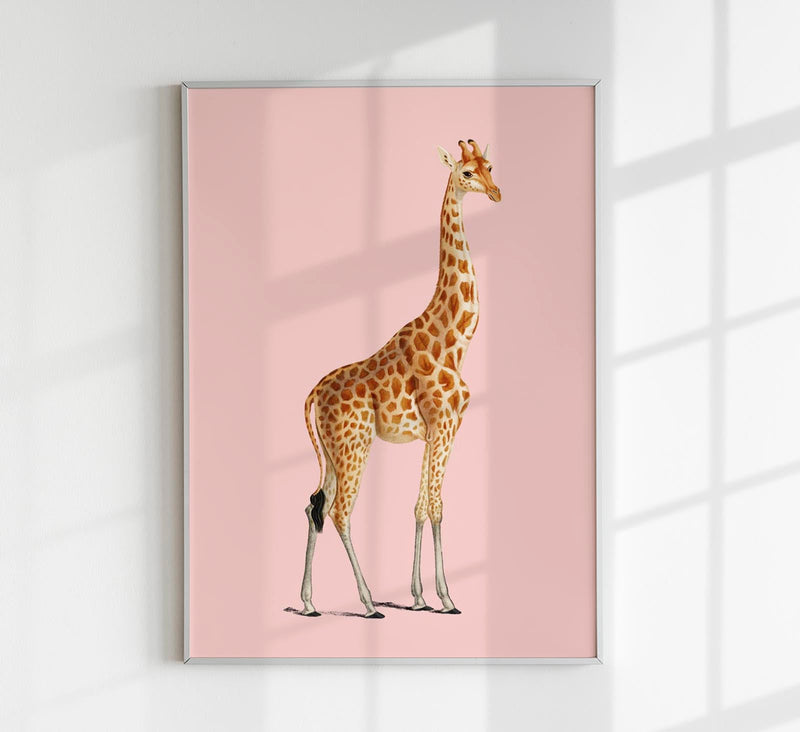Giraffe Pink Poster – moderner Kunstdruck in Rosétönen — Patroa Studio