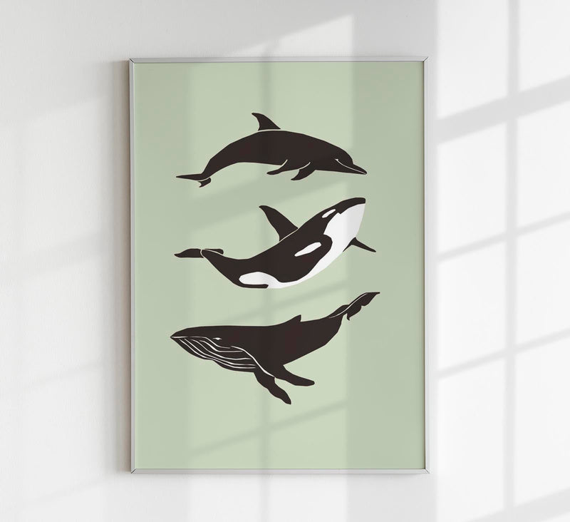 Whale & Dolphin Green Poster – Meeresmotive Fine Art Print 29,7–118,8 cm — Patroa Studio