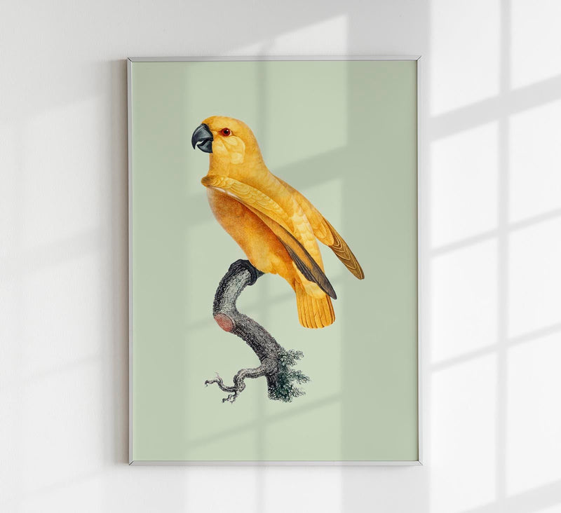 Yellow Parrot Green Poster – Tropisches Design UV-beständig Fine Art Print — Patroa Studio
