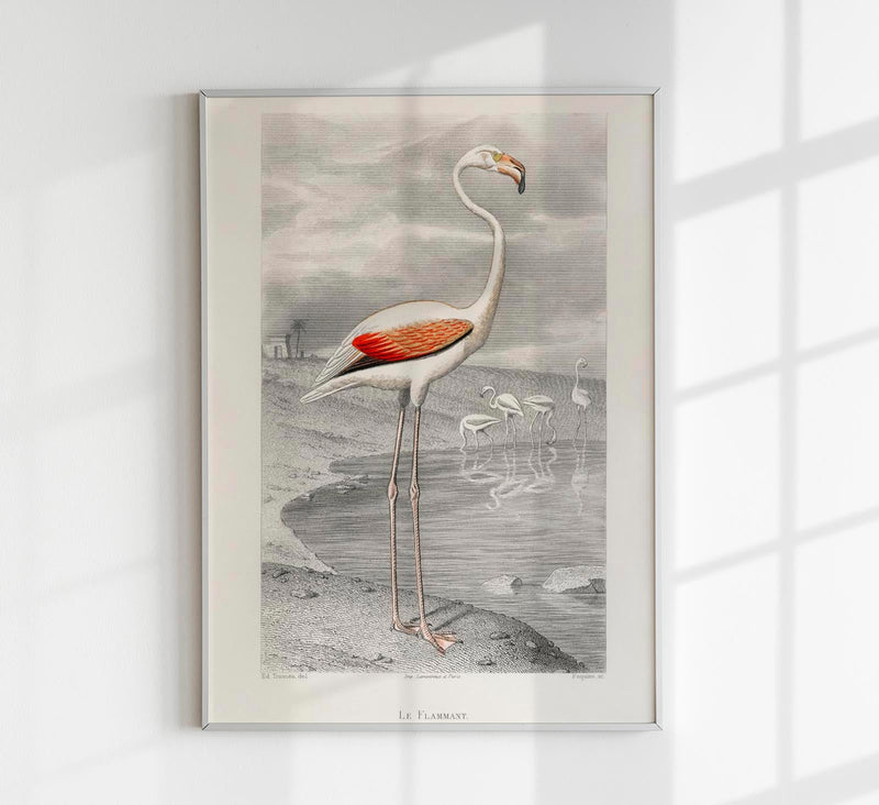 Le Flammant by Edouard Travies Poster – Archival Print Berlin — Patroa Studio