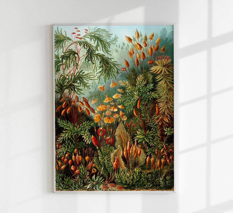 Mushroom Forest Botanical Poster von Ernst Haeckel – Handgefertigt in Berlin — Patroa Studio