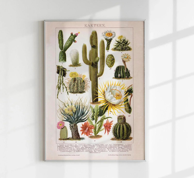 Cactus Collage Brockhaus – Vintage Botanischer Kunstdruck handgefertigt Berlin — Patroa Studio