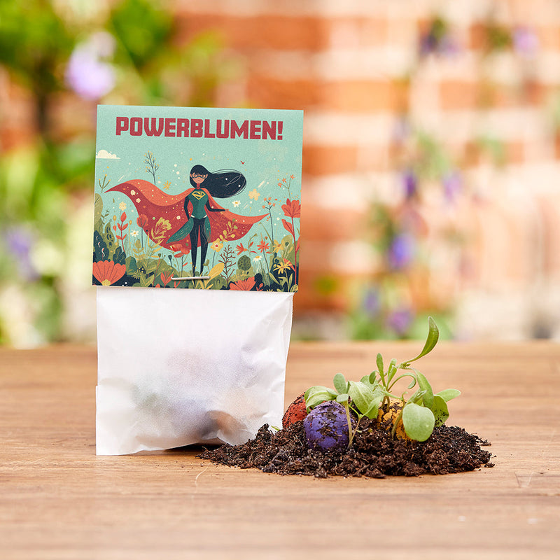 10x5 Flower Marbles in a Bag – Power Flowers by Die Stadtgärtner — Die Stadtgärtner