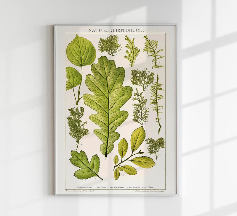 Plant Leaves Collage – Fine Art Print Botanische Abstraktion von Patroa Studio — Patroa Studio