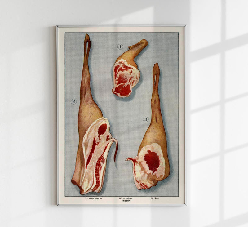 Lamb 3 Pieces Meat Poster – Hand Printed Berlin — Patroa Studio