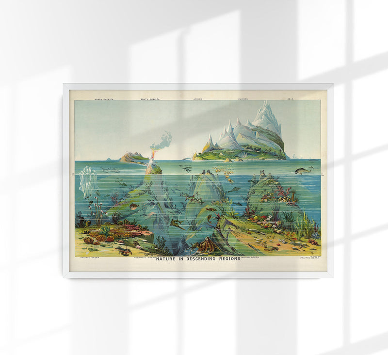 Nature in descending Regions Educational Vintage Chart – Kunstdruck Berlin — Patroa Studio