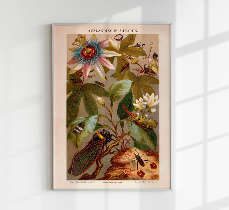Exotic Grig Poster – Chromolithographie Vintage Naturkunde — Patroa Studio