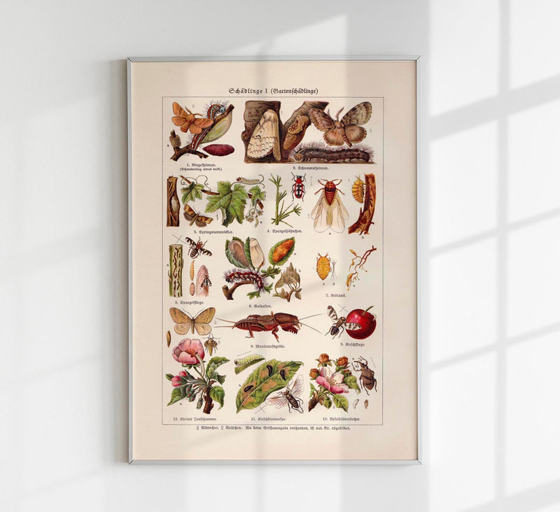Plant Pests I Poster – Wissenschaftliche Illustration von Patroa Studio — Patroa Studio