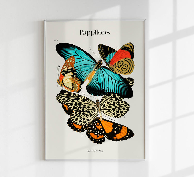 Pappilons plate 11 by Séguy Art Poster – Kunstdruck Schmetterlinge — Patroa Studio