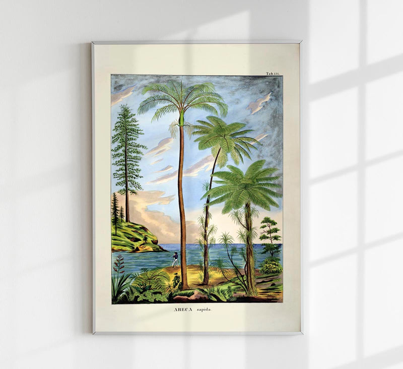 Areca Sapida Beach Scene Vintage Poster – Fine Art Print UV-resistent — Patroa Studio