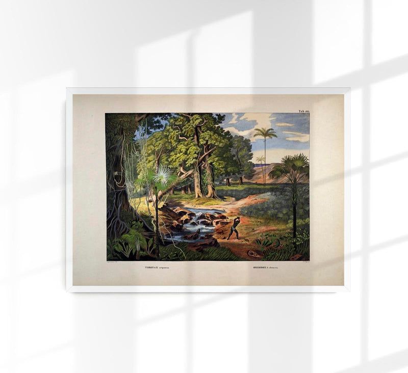 Colourful Jungle Scene Vintage Poster – Tropisches Wandbild Fine Art Print — Patroa Studio