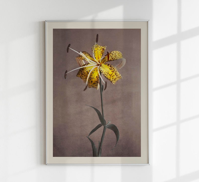 Yellow Lily – Fine Art Print by Ogawa Kazumasa | UV-resistant | Premium Art Print — Patroa Studio