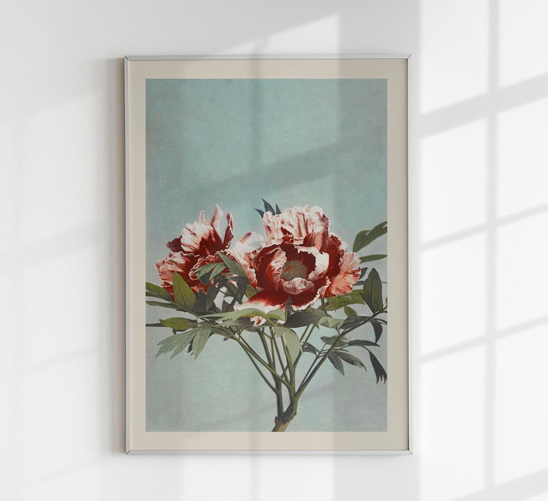 Tree Red Peony by Ogawa Kazumasa – Fine Art Print UV-beständig Japanische Fotokunst — Patroa Studio