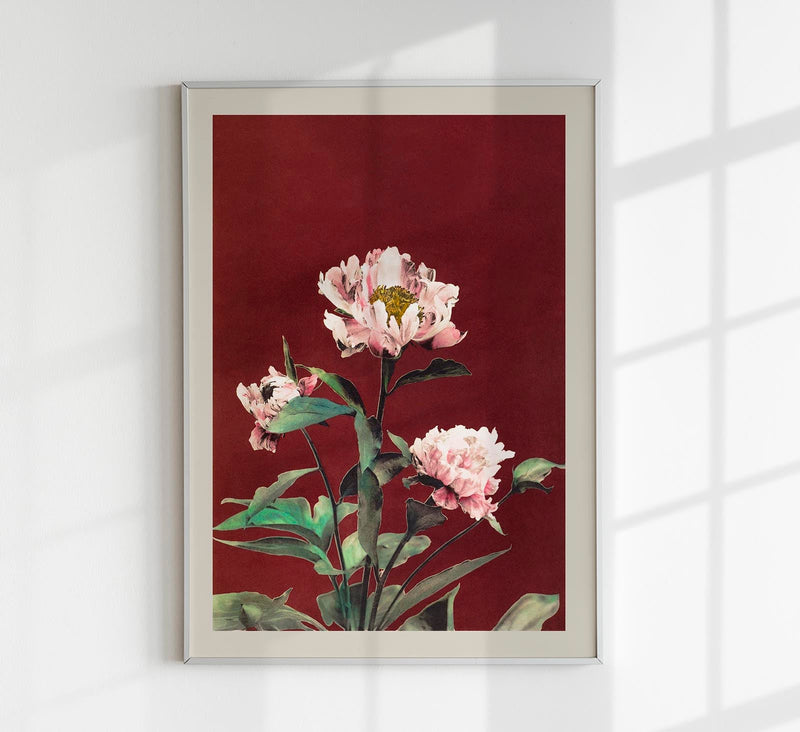 Hærdaceous Peony – Fine Art Poster by Ogawa Kazumasa, UV-resistant — Patroa Studio