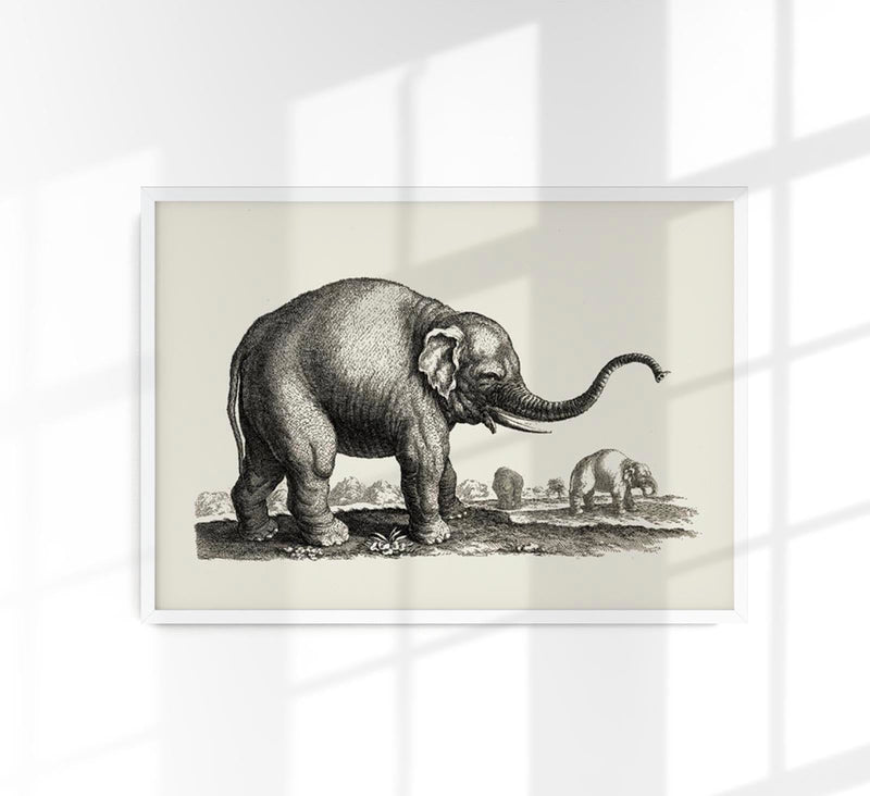 Antique Elephant Poster – Fine Art Print Vintage Wildlife UV-Resistant — Patroa Studio