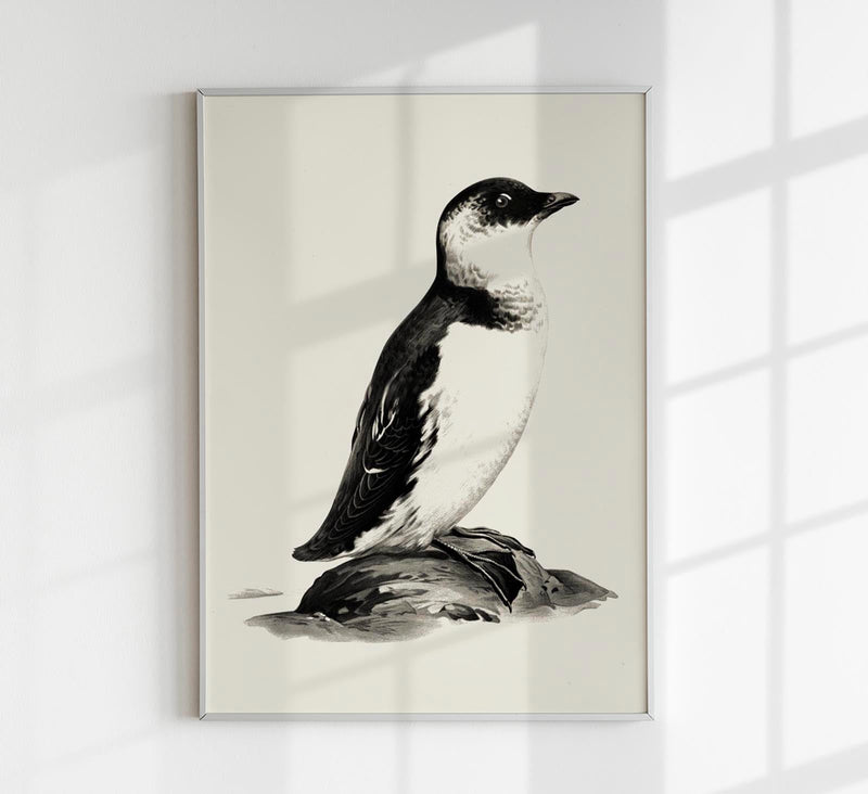 Antique Penguin Poster – Vintage Charm Fine Art Print Animal Motif — Patroa Studio