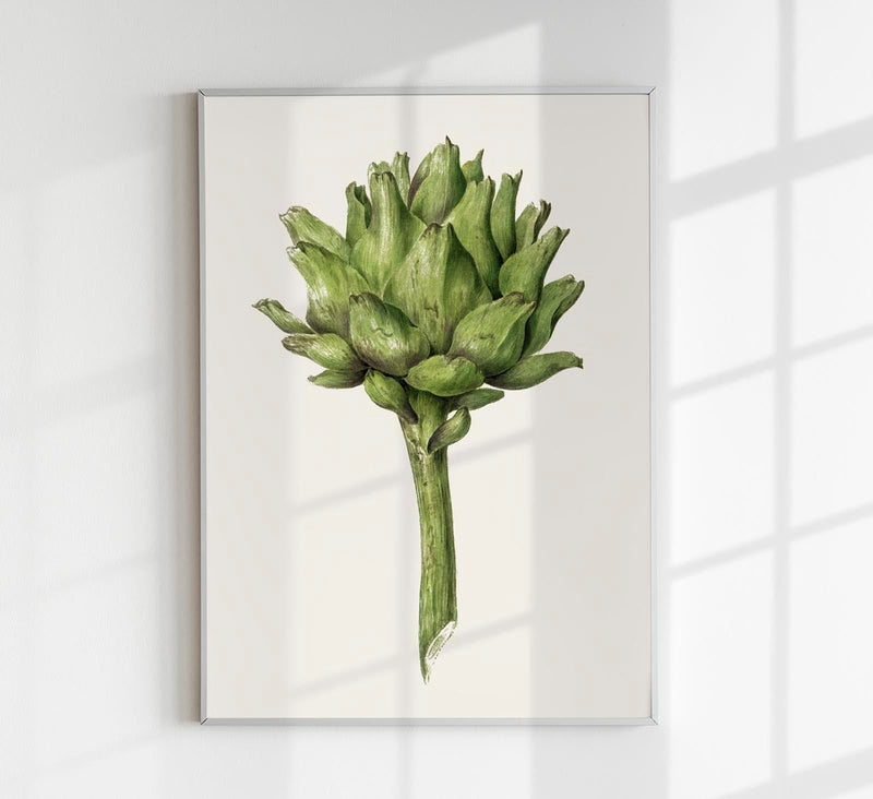 Antique Artichoke Poster – Fine Art Print UV-resistant Studio Print Berlin — Patroa Studio