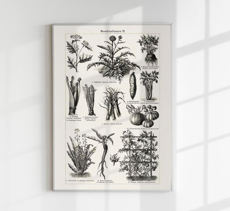 Antique Vegetable Chart II Poster - Fine Art Print Vintage Botanical UV-resistant — Patroa Studio