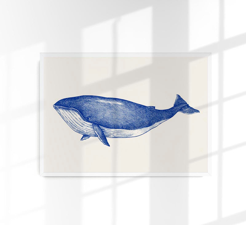 Blue Whale Art Print – Fine Art Poster | Coastal Design | Patroa Studio — Patroa Studio