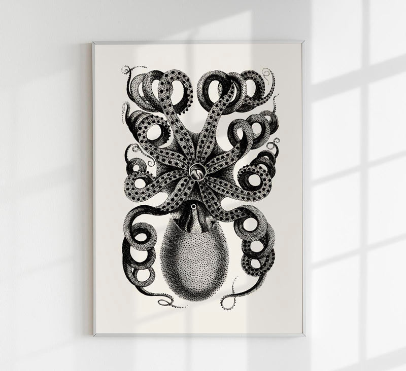 Octopus Back Antique Print - Vintage Poster Patroa Studio — Patroa Studio