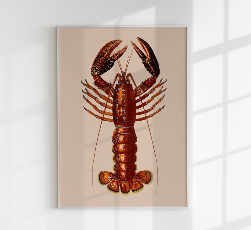 Red Lobster Poster – UV-Resistant Fine Art Print — Patroa Studio