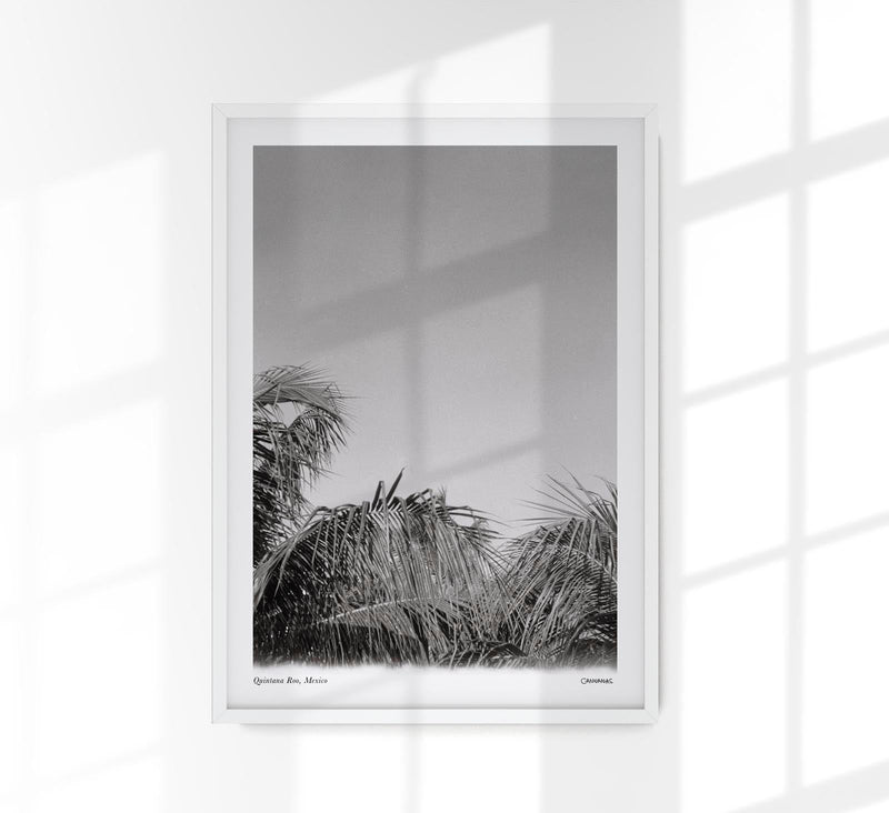 Tropical Trees Mexico Poster – Fine Art Print Patroa Studio — Patroa Studio