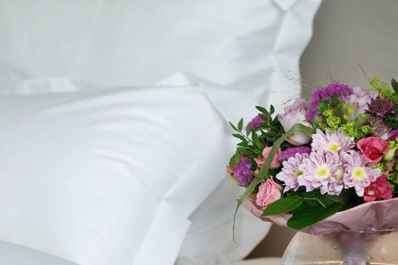 Kissenbezüge Set Uni Farbe – 100% Baumwolle Satin 300 TC bügelleicht — von der Thannen Luxury Bedding