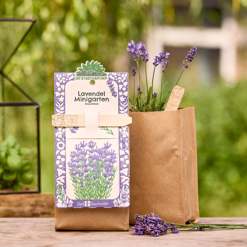 Mini Garden Organic Lavender Seed Kit – EU organic certified — Die Stadtgärtner