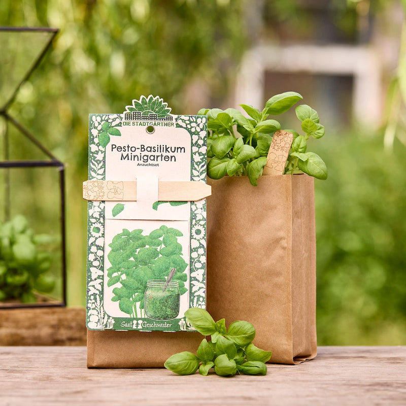 Mini Garden Organic Basil Grow Kit – All-in-one Kit — Die Stadtgärtner
