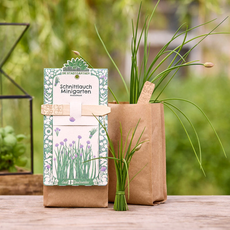 Mini Garden Organic Chives Grow Kit – All-in-One Starter Set — Die Stadtgärtner