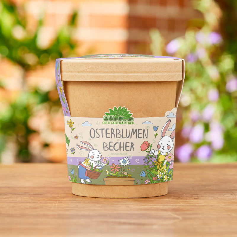 Blümchen aus dem Becher – Anzuchtset Frühlingsblumen — Die Stadtgärtner