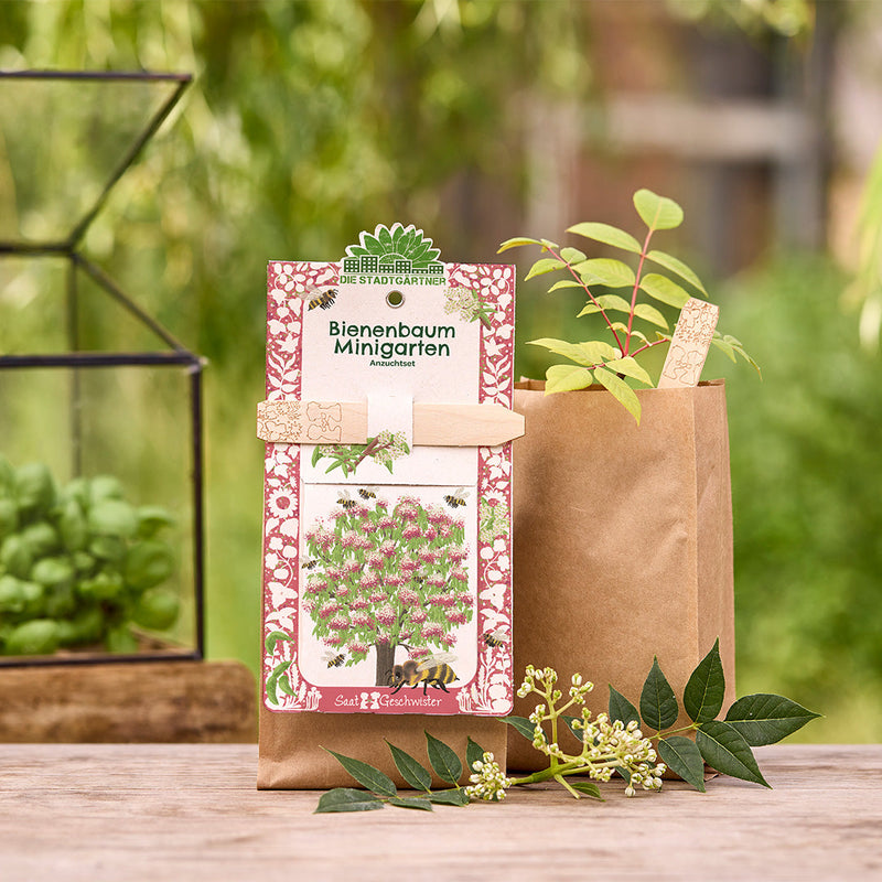 Mini Garden Bee Tree – Thousand Blossom Bush Seed Kit — Die Stadtgärtner