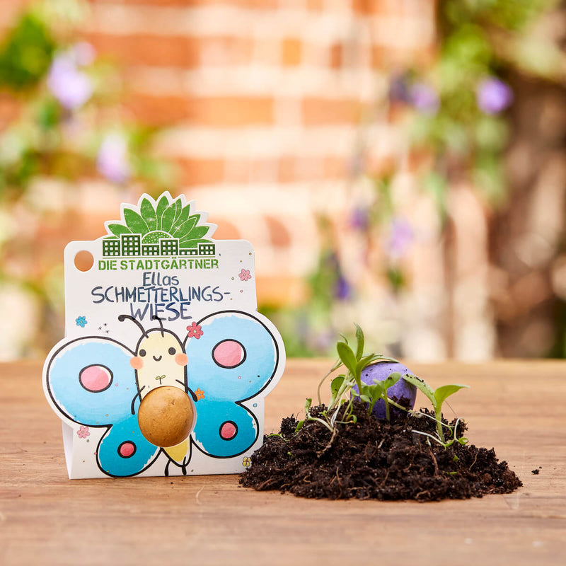 Flower Marble "Ella's Butterfly Meadow" - Wildflower Seed Ball — Die Stadtgärtner