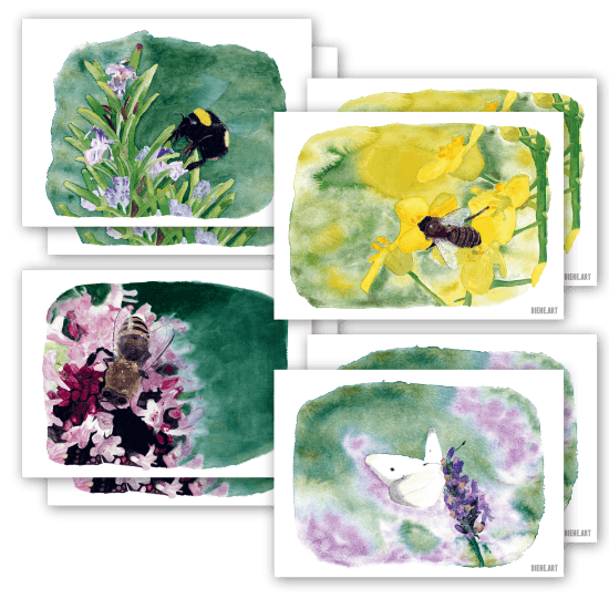 Set of 8 Watercolor Postcards – Insect Motifs on Recycled Paper — BIENE.ART