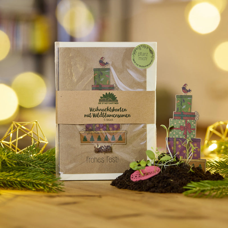 5 Christmas cards per set – Seed paper with wildflowers — Die Stadtgärtner