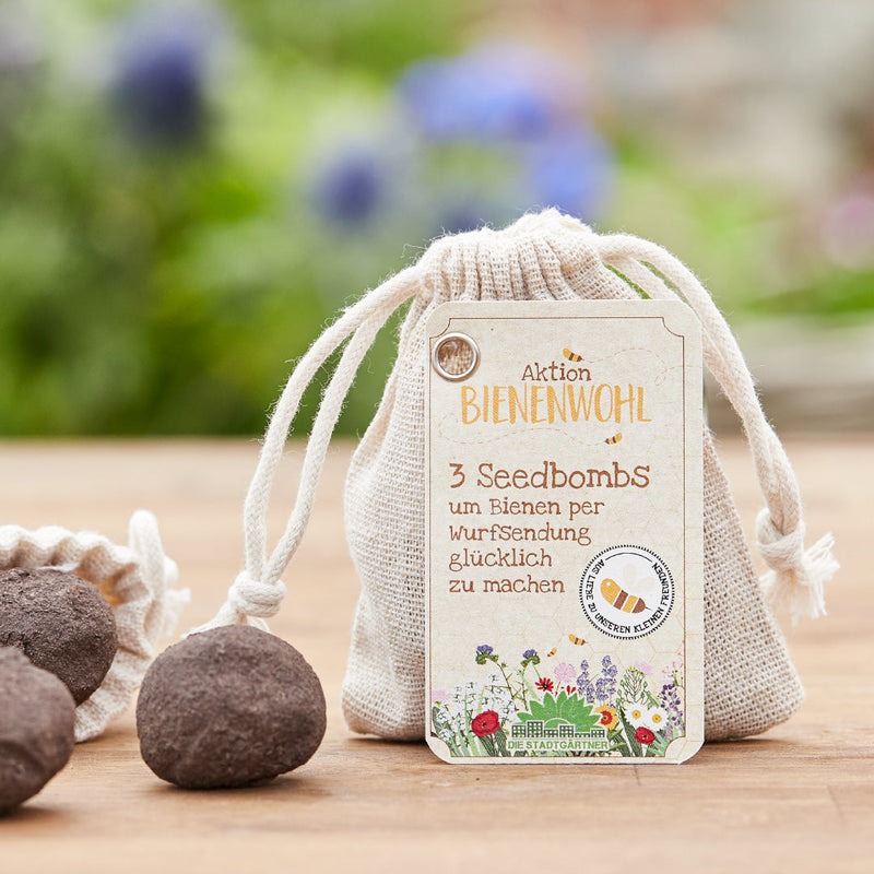 3 Bee-Friendly Seed Bombs in a Jute Bag – Bee-Friendly Seedbombs — Die Stadtgärtner