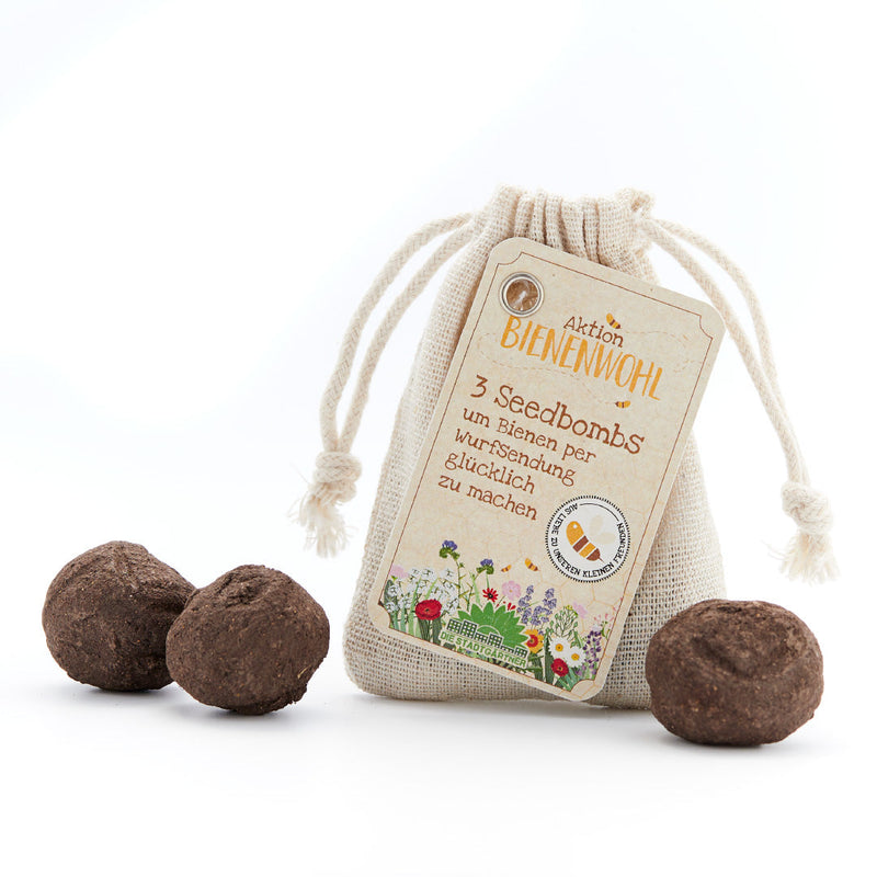 3 Bee-Friendly Seed Bombs in a Jute Bag – Bee-Friendly Seedbombs — Ansicht 2