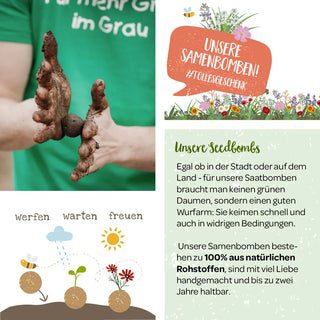 Lose Wildblumen-Samenbomben, unverpackt – DIY-Verpackung | 2–3 cm Ø | Für Events & Geschenke