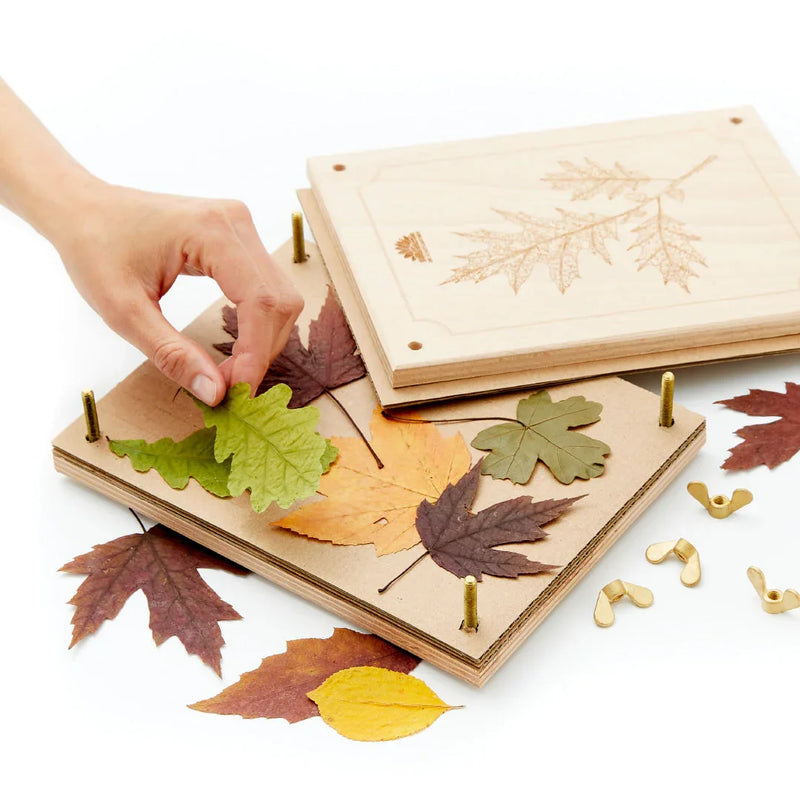 Leaf press for leaves & flowers – Beech wood 190×250 mm — Ansicht 6