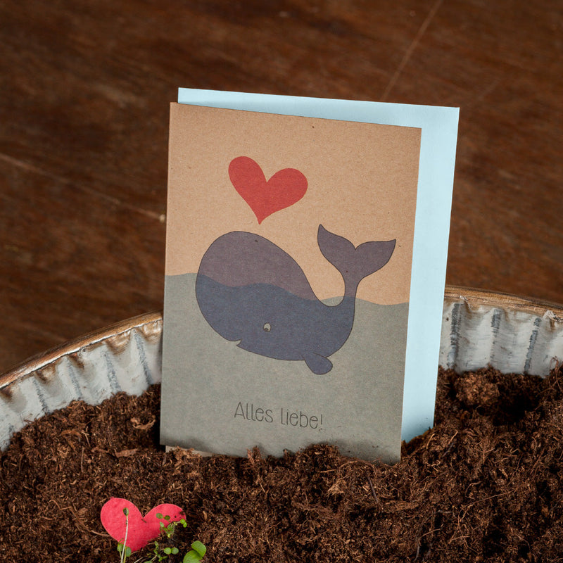 Grußkarte „Alles Liebe“ – Wal mit Saat-Herz — Die Stadtgärtner