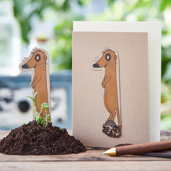 Geburtstagskarte „Eins“ – Saatstecker aus Pappe mit Wildblumensamen